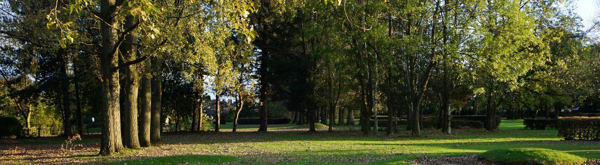 FRIENDS OF WOODHEYS PARK