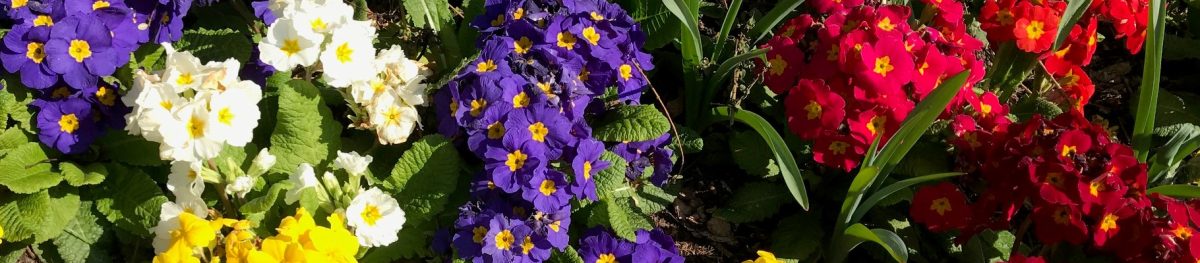 FRIENDS OF WOODHEYS PARK